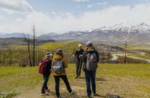 4 KM Wildfire Hike with Lunch in Jasper National Park