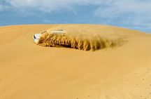 Abu Dhabi Morning Desert Safari with Camel Ride & Hotel Pickup