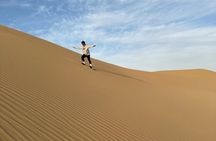 Abu Dhabi Desert Safari with Sandboarding, Camel Ride & Dinner