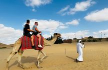 Abu Dhabi Morning Desert Safari with Camel Ride & Hotel Pickup
