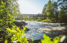 Santa Claus Village & Rovaniemi Nature, City Tour with Local BBQ