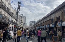 Tokyo E bike Tour History of Geisha Tsukiji