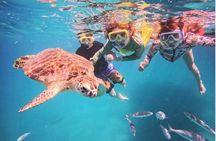 Best Snorkeling Tours with Complimentary Photos