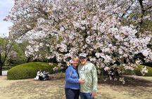 1D Tokyo Private Walking Tour with Expert Guide from Yokohama