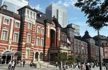 1D Tokyo Private Walking Tour with Expert Guide from Yokohama