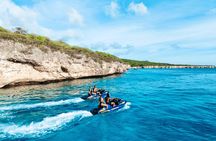 2 Hour Jet Ski Adventure with Sea Turtles and Blue Room