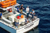 4 Hour Sunset Fishing Excursion in Calabash