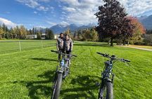 Whistler Guided eBike Tour Experience