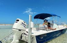 Snorkeling, Dolphin and Wildlife Sightings at St. Andrews Bay