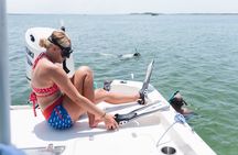 Snorkeling, Dolphin and Wildlife Sightings at St. Andrews Bay