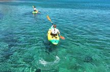 Kayak Tours and Snorkeling in Playa Blanca Lanza