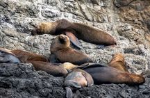 Full Day Isla Salango Snorkeling and Seabird Tour from Guayaquil