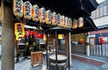 Osaka Highlights Tour: Castle, Dotonbori & Hidden Gems