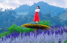 Mon Jam Flower Hills, Alpaca Cafe & Dantewada (Private Trip)