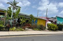 St. Kitts: Best of Beaches Beach Hopping Tour"
