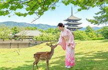 Kyoto & Nara & Uji: Full Day Sightseeing Tour from Osaka or Kyoto