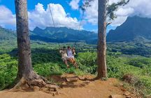 Moorea: Guided Hike Bounty 3 Pine Tree Adventure Park & Lunch