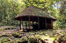 Moorea: Guided Hike Bounty 3 Pine Tree Adventure Park & Lunch