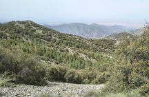Private Hiking Experiences in the Troodos Mountains from Pafos
