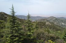 Private Hiking Experiences in the Troodos Mountains from Pafos