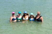 Mangroves to the Sandbar - Snorkel & Float Sandbar Experience