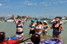 Mangroves to the Sandbar - Snorkel & Float Sandbar Experience