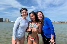 Mangroves to the Sandbar - Snorkel & Float Sandbar Experience