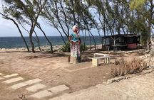 Barbados Animal Flower Cave, Cherry Tree Hill & West Coast Views