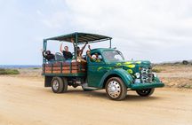 West Coast Bus Tour in Curaçao Beaches and Turtles