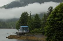 Ward Cove E-Bike & Totem Adventure