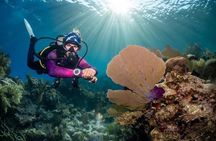 Roatan Scuba Diving Adventures and Tours