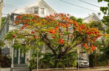 History Nature and Culture of Key West Walking Tour
