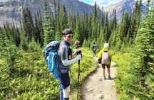 Banff Kananaskis Bear Country Wildlife Focused Guided Hikes