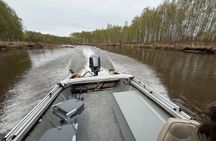 Guided Fishing Adventure On The Chena River By Boat