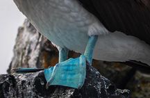 Private Galápagos Islands Adventure Multi Day Tour (7Days)