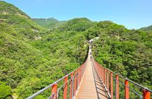 Private Hotel Pickup History DMZ Tour & Suspension Bridge