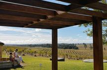 Luxury Hunter Valley Wine Tour with Fine Dining | From Sydney CBD