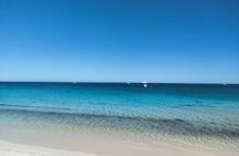 Koala, Lancelin, Wedge Island and Pinnacles Tour from Perth