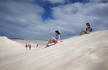 Koala, Lancelin, Wedge Island and Pinnacles Tour from Perth