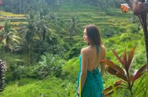Best of Ubud and Beyond with Waterfall Temple and Rice Terrace