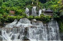 Best of Ubud and Beyond with Waterfall Temple and Rice Terrace