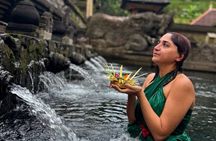 Best of Ubud and Beyond with Waterfall Temple and Rice Terrace