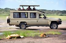 Luxury Airport Transfers and Taxi Services(Pick up&Drop off)