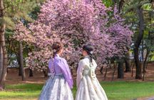 Gyeongju UNESCO Private Tour with Busan or Gyeongju Pick-up