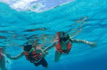 Shared Snorkeling Tour Playa El Cielo in Cozumel