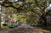ECO FRIENDLY Tour of Historic Savannah by Savannah Cruzers