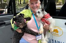 ECO FRIENDLY Tour of Historic Savannah by Savannah Cruzers