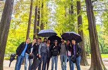 Private Hotel pickup Nami Island Rail Bike Garden of Morning Calm