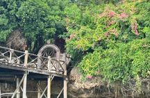 Full-day Prison Island & Nakupenda Sandbank with Lunch (BBQ)