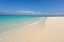 Full-day Prison Island & Nakupenda Sandbank with Lunch (BBQ)